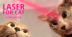 Zijn laserpennen slecht voor katten?